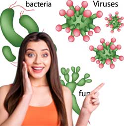 antibakteriell Viren Bakterien Keime vernichten