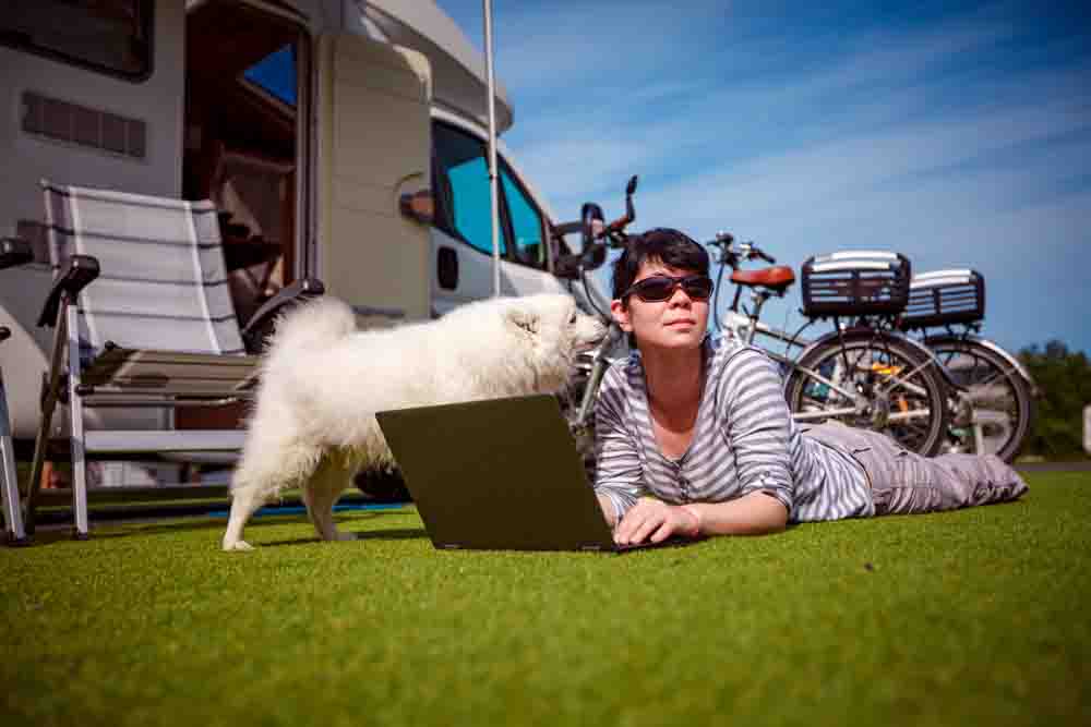 CamperDays Wohnmobile und Wohnwagen gebraucht Hundegeruch entfernen
